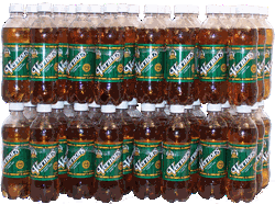 Vernors 8 6-packs of Regular Ginger Soda (Ale) 0.50 liter Plastic Bottles