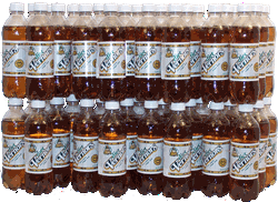 Diet Vernors 8 6-packs of Diet Ginger Soda (Ale) 0.50 liter Plastic Bottles