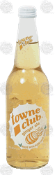 towne club ginger ale 12-pack 16-oz. glass bottles